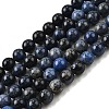 Natural Grade AA Dumortierite Quartz Round Bead Strands X-G-P075-43-4mm-2