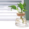 Trapezoid Glass Vase PW-WG0FA6A-01-1