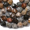 Natural Picasso Jasper Beads Strands G-Z119-A25-02-5