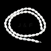 Natural White Shell Beads Strands SH-CBAF49A-03-4