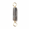 Natural Larvikite Connector Charms PALLOY-JF01454-05-3