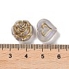 Transparent Acrylic Beads LS-X1-MACR-L005-05L-3