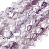 Inner Flower Handmade Lampwork Beads Strands LA-CBA3F7A-02E-1