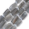 Natural Labradorite Beads Strands G-C270-K19-01-2