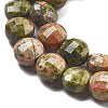 Natural Unakite Beads Strands G-C179-A13-02-4