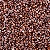 Picasso Glass Seed Beads GL-N001-01A-10-3