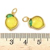 Brass Resin Pendants KK-C110-24F-G-3