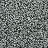 MIYUKI Round Rocailles Beads X-SEED-G007-RR0194-3