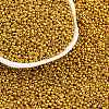 12/0 Glass Seed Beads E06900A2-2