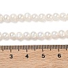 Natural Cultured Freshwater Pearl Beads Strands PEAR-L034-09A-5