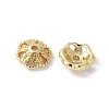 Flower Brass Bead Caps KK-F892-34G-10-1