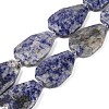 Natural Blue Spot Jasper Beads Strands G-P548-B10-01-1