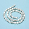 Natural Cultured Freshwater Pearl Beads Strands PEAR-J006-17C-01-3