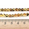 Natural Amber Beads Strands G-L095-B01-5mm-03-5