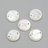 Freshwater Shell Links connectors SHEL-Q009-001P-1
