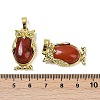 Natural Red Jasper Pendant KK-F887-02G-19-3