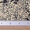 MIYUKI Delica Beads SEED-X0054-DB1560-3