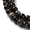 Natural Silver Obsidian Beads Strands G-S150-20A-6mm-4