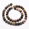 Natural New Ocean Jasper Bead Strands G-G954-01-8mm-3