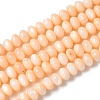 Natural Freshwater Shell Beads Strands SSHEL-C013-07H-1