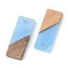 Resin & Walnut Wood Pendants X-RESI-S389-059A-3