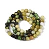 Natural Serpentine Beads Strands G-Q616-07B-3