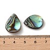 Natural Paua Shell Beads SSHEL-F305-02B-3