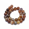 Natural Agate Beads Strands G-I245-70B-03-2
