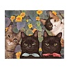 Cat DIY Diamond Painting Kits PW-WG313F1-12-1