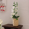Platic Miniature Ornaments LS-PW-WG36445-01-2