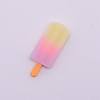 Resin Cabochons RESI-CJC0002-10B-1