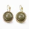 Iron Leverback Earrings EJEW-H336-01A-1