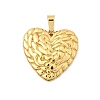 304 Stainless Steel Pendants STAS-C163-04C-G-1