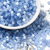 Glass Seed Beads X1-SEED-H002-D-A813-1