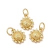 Rack Plating Eco-Friendly Brass Pendants LS-KK-A177-31G-1