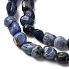 Natural Sodalite Beads Strands G-I389-A08-4