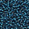 TOHO 8/0 Round Beads SEED-XTR08-0023BD-2