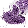 MIYUKI Delica Beads X-SEED-J020-DB2508-1