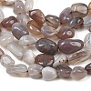 Natural Botswana Agate Nuggets Beads Strands G-B170-A01-4