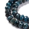 Natural Apatite Beads Strands G-K380-A22-02-4