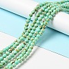 Synthetic Turquoise Beads Strands LS-TURQ-H038-6mm-XXS10-2