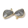 Faceted Natural Labradorite Pendants G-F340-02D-1