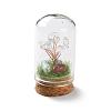 Natural Quartz Crystal Chips Money Tree in Dome Glass Bell Jars with Wood Base Display Decorations DJEW-K030-02A-1