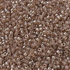 MIYUKI Delica Beads SEED-JP0008-DB0102-3