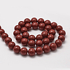Shell Pearl Beads Strands BSHE-L026-01-14mm-3