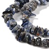 Natural Sodalite Beads Strands G-P530-A01-01-3