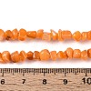 Natural Freshwater Shell Beads Strands SHEL-N037-04F-4