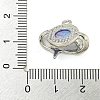 Alloy And Resin Pendants LS-PALLOY-S029-01A-02-3