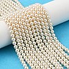 Preciosa® MAXIMA Crystal Nacre Pearls Y-PRC-NPA4-70000-1