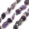 Natural Amethyst Beads Strands G-Q023-F01-01-1